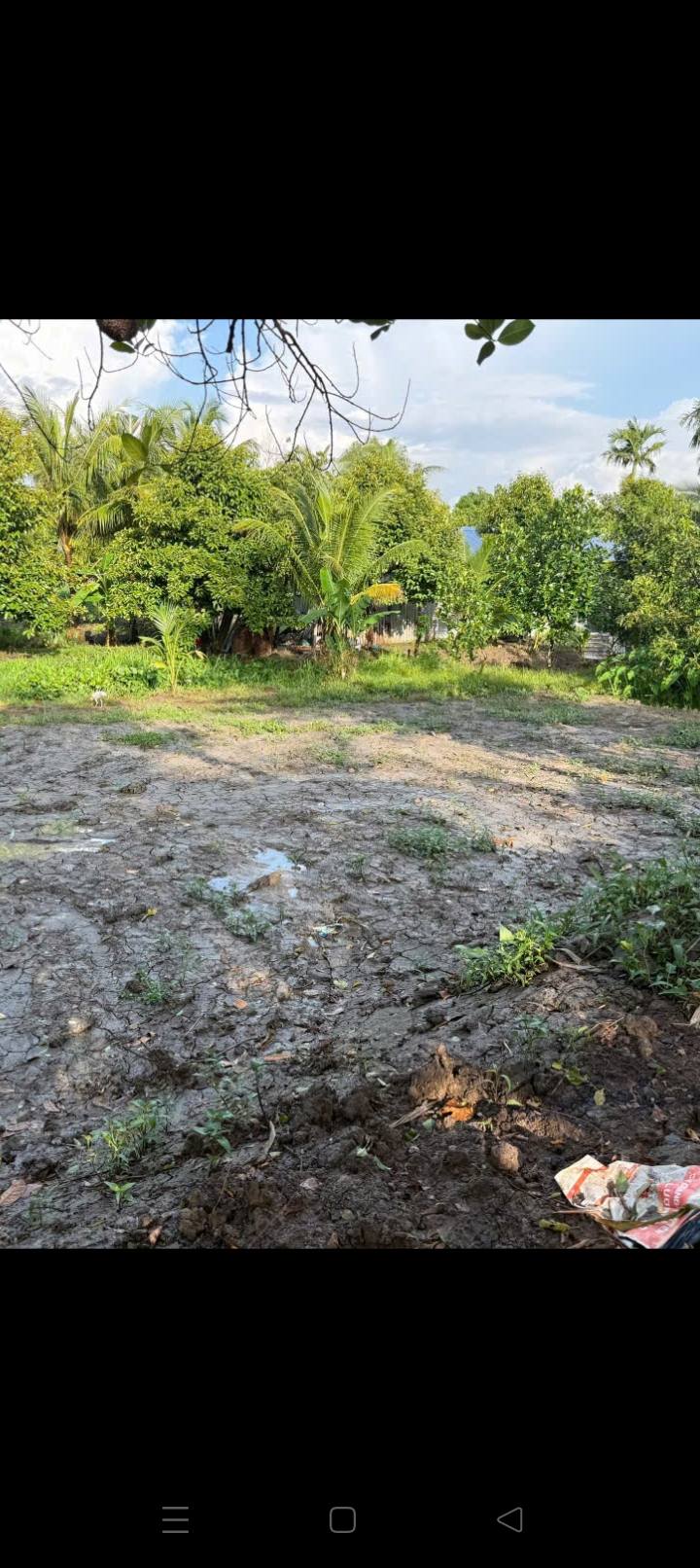 Đất thổ cư 115m² tại phường Đại Thành, Ngã Bảy giá chỉ 180 triệu - Cơ hội đầu tư hấp dẫn!