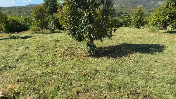 Đất nền 4 sào tại xã Kon Gang, Đak Đoa, Gia Lai giá 900 triệu - Cơ hội đầu tư sinh lời!