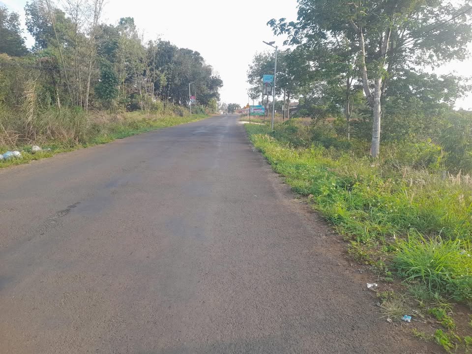 Đất nền Nhân Cơ Đắk Nông 1000m² giá 1.05 tỷ - Cơ hội đầu tư hấp dẫn!