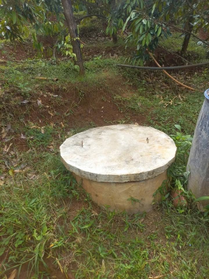 Lô rẫy 2,8 sào tại Ea H'Leo - Sổ đỏ chính chủ, giá 840 triệu!