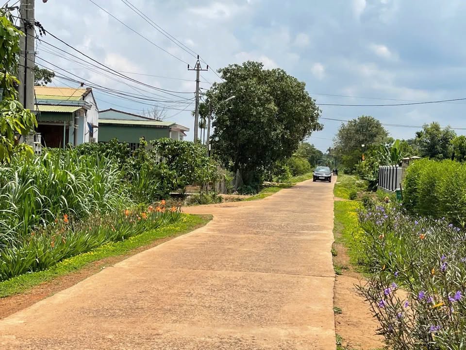 Đất nền 2 sào tại thôn 9, Ea Kiết, Cư M'gar, Đắk Lắk - Chỉ 650 triệu, sổ hồng chính chủ!