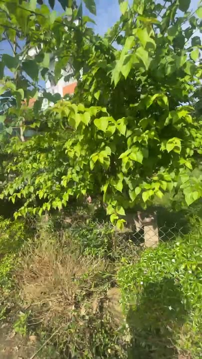 Đất nền Duy Vinh 120m² giá 600 triệu - Vị trí gần Ủy ban xã thuận tiện!