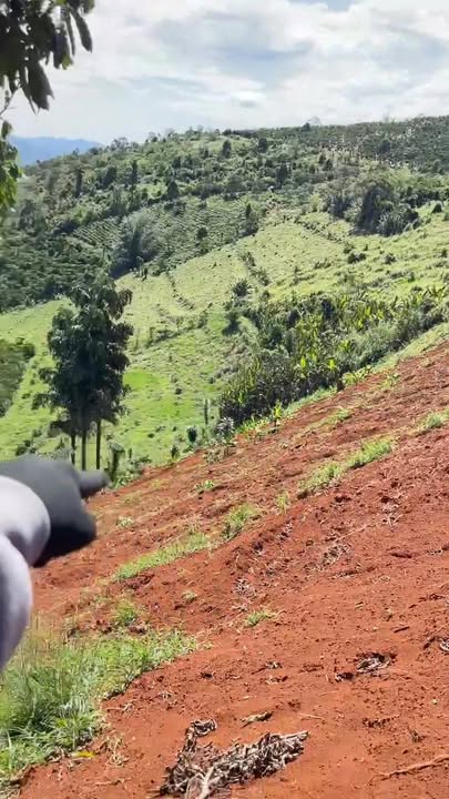 Đất nền Lộc Bắc Bảo Lâm 9,4 sào giá 1,2 tỷ - Cơ hội đầu tư hấp dẫn!