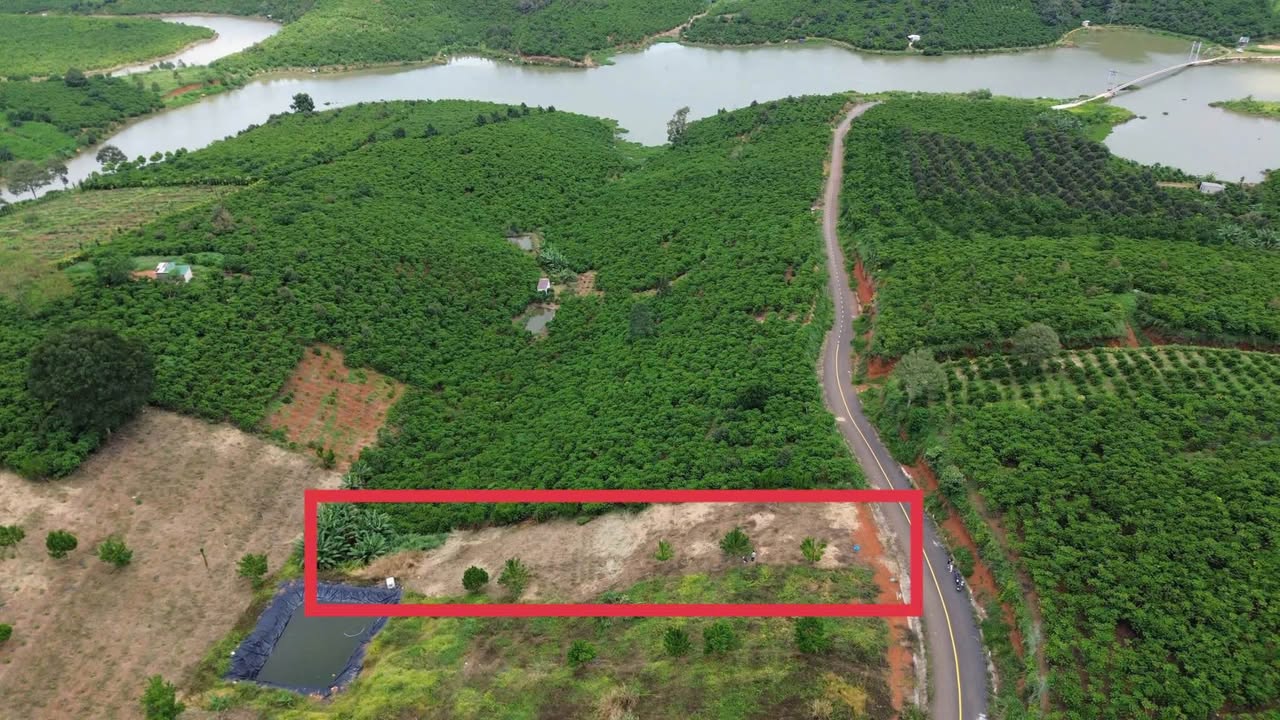 Lô đất thổ cư 1355m² tại Bảo Lộc - Giá chỉ 1.6 tỷ - Cần bán gấp!