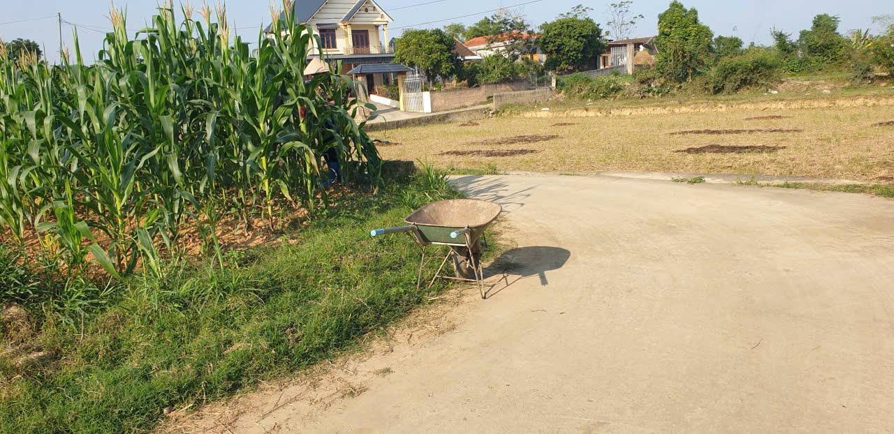 Đất nền Phường Bách Quang Sông Công 109m² giá 450 triệu - Cơ hội đầu tư tuyệt vời!