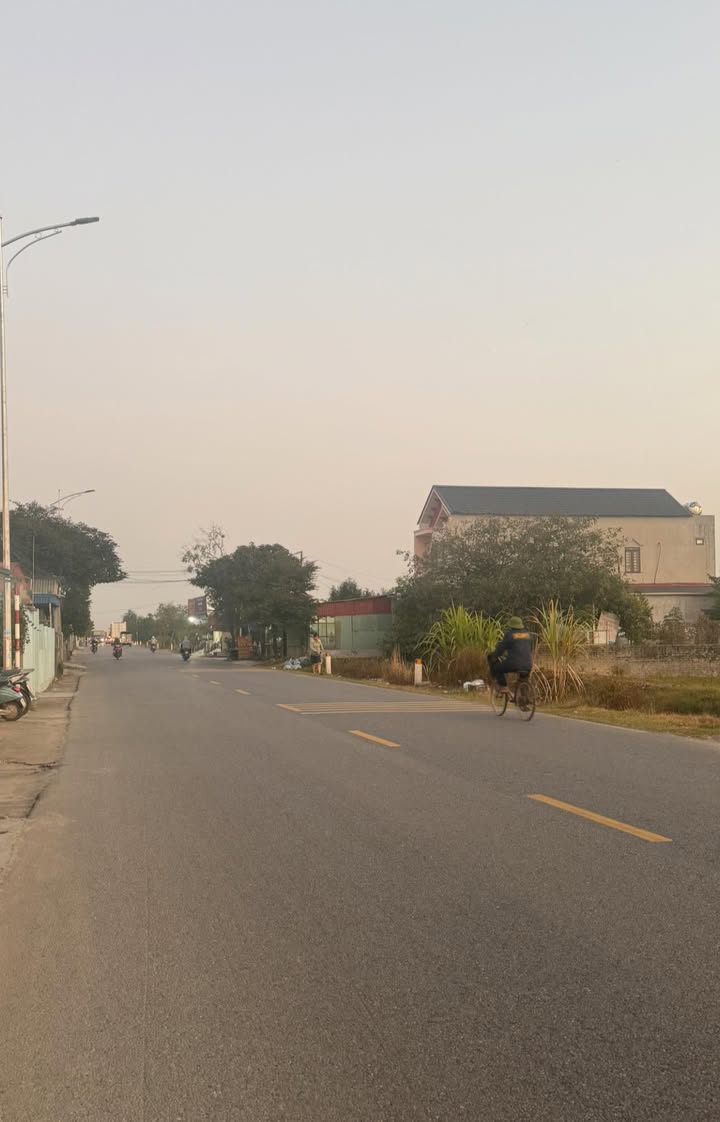 Đất nền mặt đường Tỉnh 360, xã Quang Hưng, huyện An Lão 115m² - Tiềm năng đầu tư lớn!