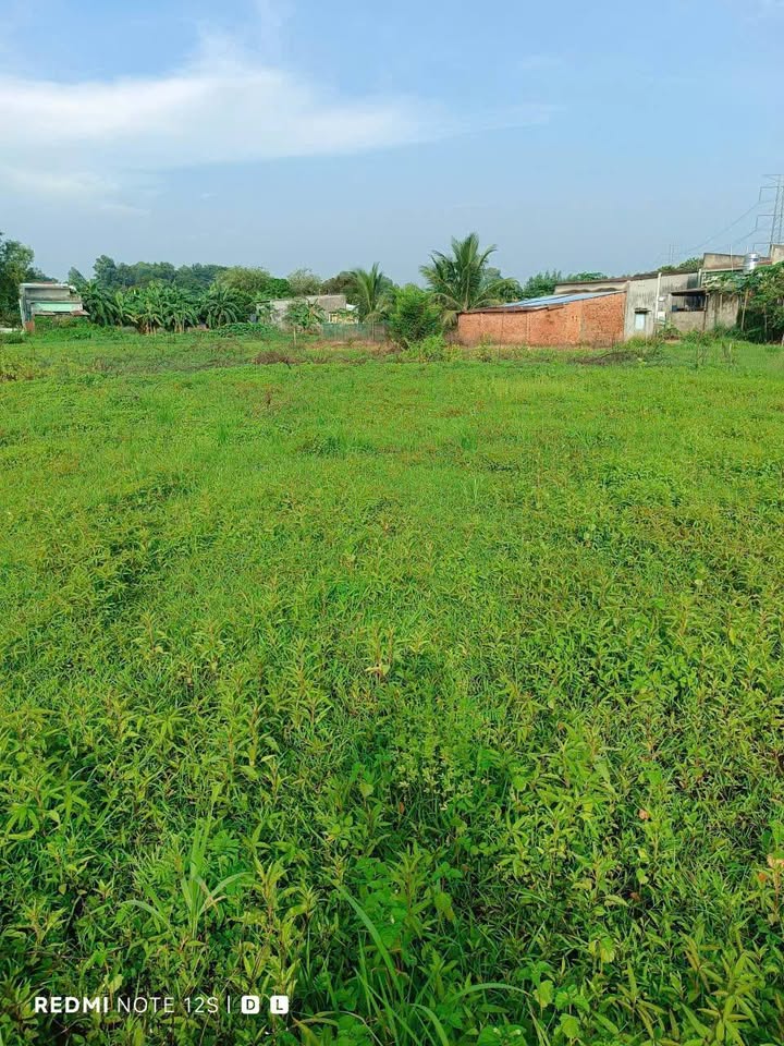 Đất Hưng Lộc Dầu Giây 3600m² giá 1 tỷ - Cơ hội đầu tư hấp dẫn!