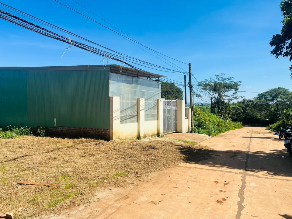 Đất mặt tiền Bùi Đình Tuý, Pleiku, 233.6m² - Cơ hội đầu tư tuyệt vời!