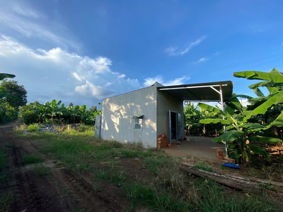 Đất nông nghiệp Bảo Bình Cẩm Mỹ 20.757m² giá 6.49 tỷ - Cơ hội đầu tư tuyệt vời!