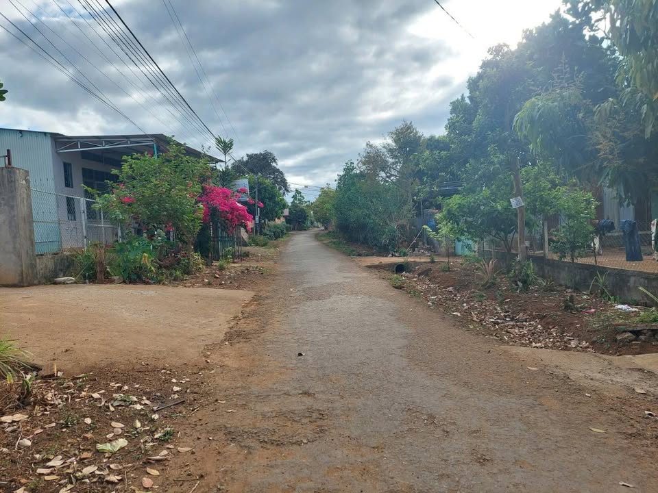 Đất nền liền kề Dã Tượng, Pleiku 160m² - Giá chỉ 800 triệu, vị trí đắc địa!