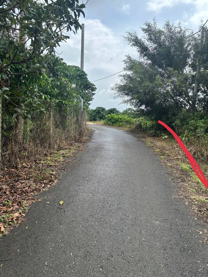 Đất thổ cư Tân Lạc 123m² giá 440 triệu - Cơ hội đầu tư tốt!