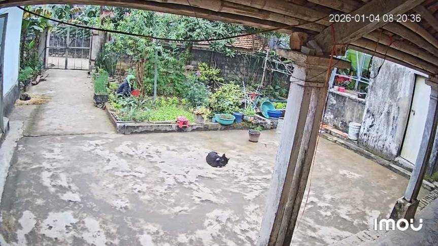 Đất rộng 645.7m² tại xã Hà Long, giá 1 tỷ - Cơ hội đầu tư tuyệt vời!