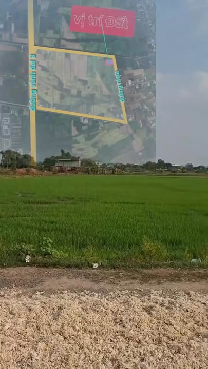 Đất nông nghiệp Hóc Môn 4.783m² giá 23.914 tỷ - Tiềm năng đầu tư vượt trội!