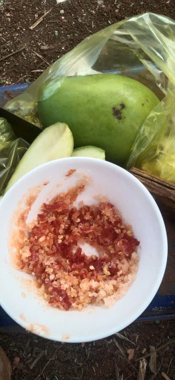 Nhà mặt tiền đường Phan Chu Trinh, Pleiku 1168m² giá 5 tỷ - An ninh tốt, tiện ích đầy đủ