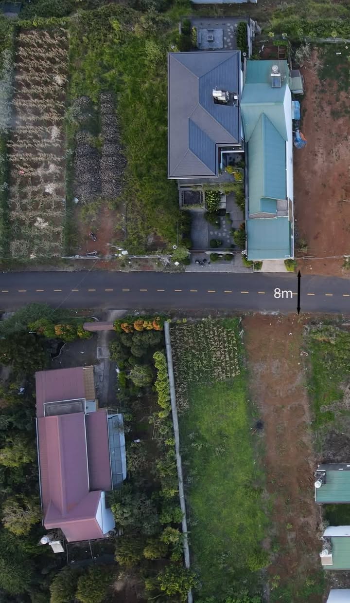 Nhà vườn mặt tiền Nguyễn Trãi, Bảo Lộc 1000m² giá 8.5 tỷ - Đầu tư sinh lời tuyệt vời!