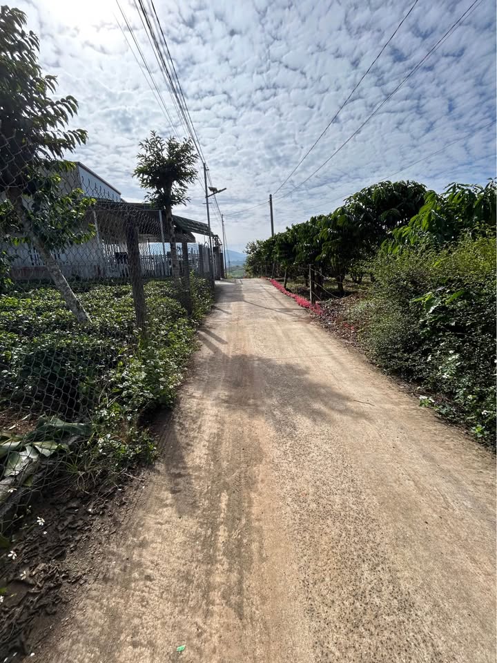 Đất nền Bảo Lộc 206m² giá 2.35 tỷ - Gần chợ và trường học!