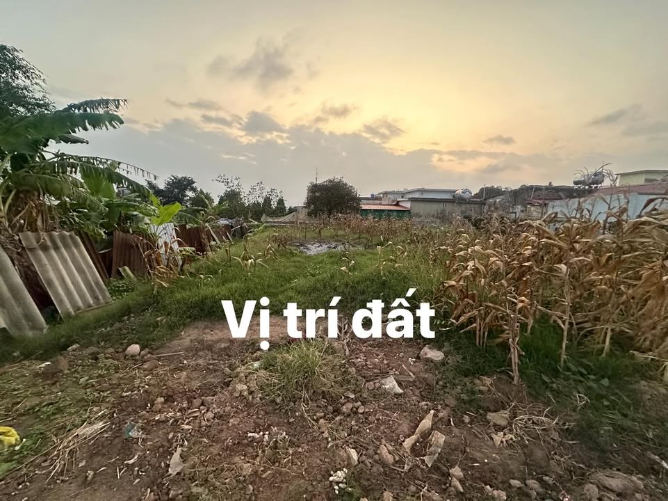 Đất nền Giao Hà, Giao Thủy 138m² - Cơ hội đầu tư sinh lời!