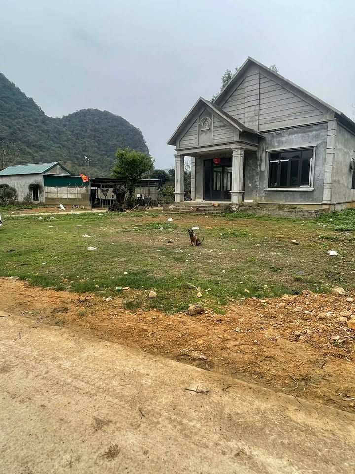 Đất thổ cư Lạc Lương - 1.500m² giá thỏa thuận - Tiềm năng đầu tư vượt trội!