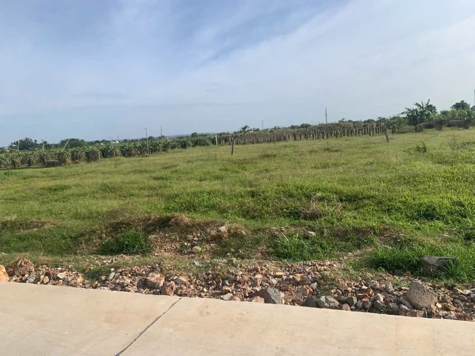 Đất nền 600m² tại Tầm Hưng, Bình Thuận - Giá chỉ 450 triệu - Đầu tư sinh lời!