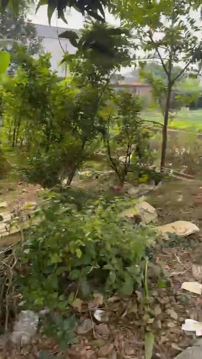 Đất nền 100m² tại Đồng Trúc - Thạch Thất - Giá chỉ 4x triệu/m² - Đầu tư sinh lời!