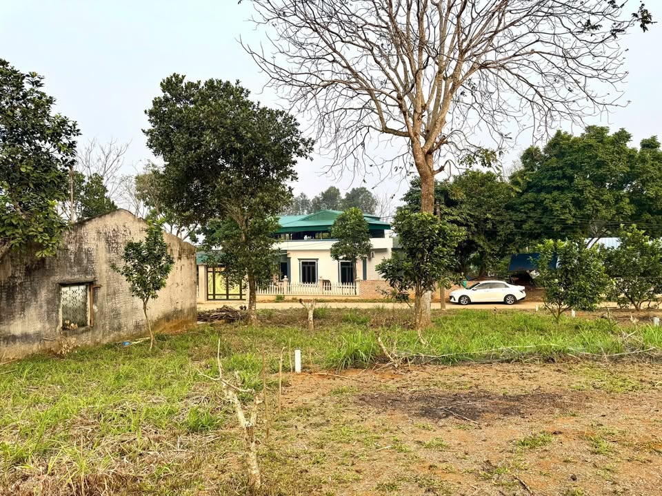 Đất nền Tú Lý, Đà Bắc 1055m² - Vị trí tiềm năng, giá thỏa thuận!