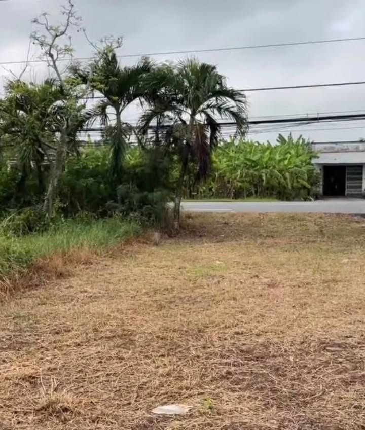 Đất mặt tiền QL50, xã Phú Thành, huyện Cần Giuộc, diện tích 364m², giá 2.9 tỷ - Cơ hội đầu tư lý tưởng!