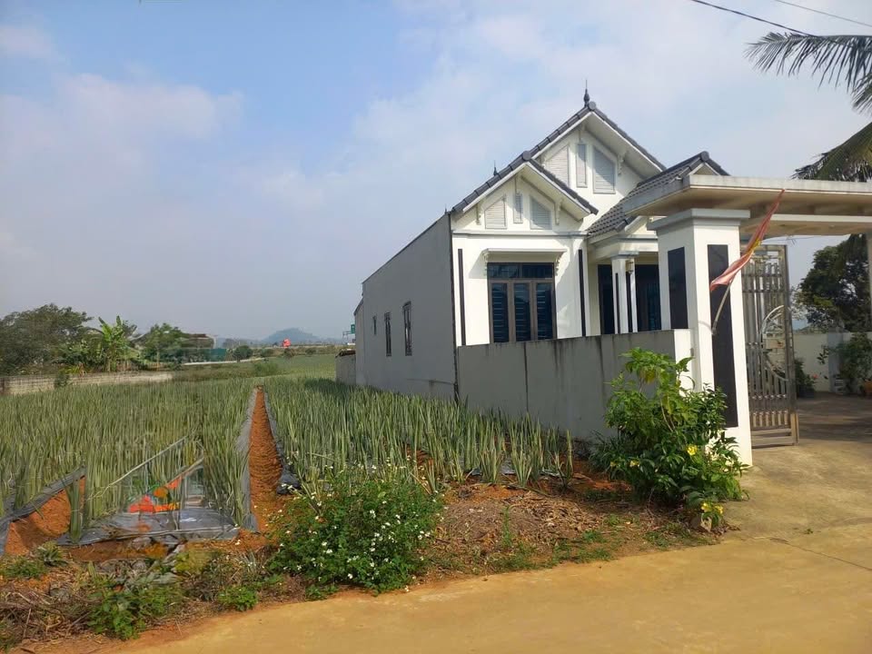 Đất nền Quang Sơn, Tam Điệp, Ninh Bình 94m² - Đường rộng thông thoáng, giá tốt!