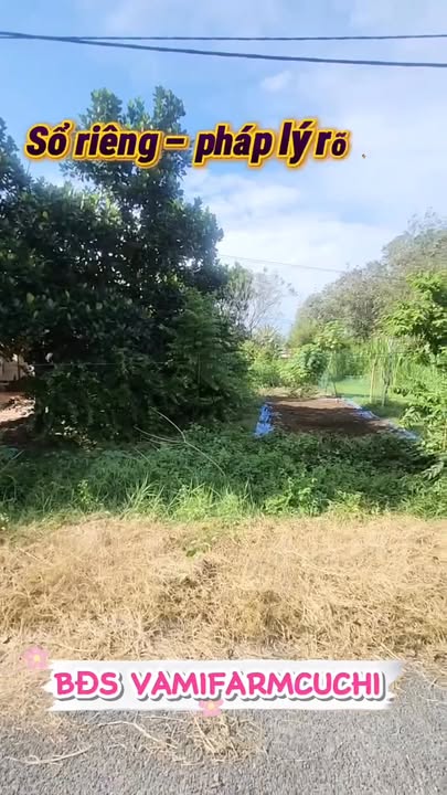 Đất nền An Nhơn Tây Củ Chi 375m² giá 1.7 tỷ - Đầu tư sinh lời tuyệt vời!