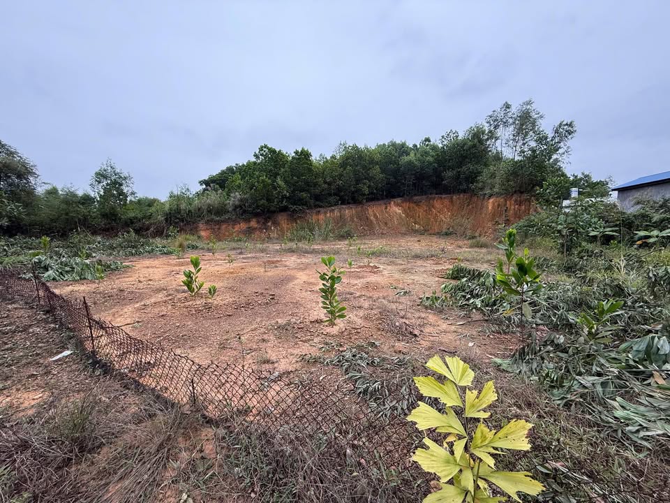 Đất nền Tích Lương, Thái Nguyên 1000m² - Pháp lý rõ ràng, đầu tư sinh lời!