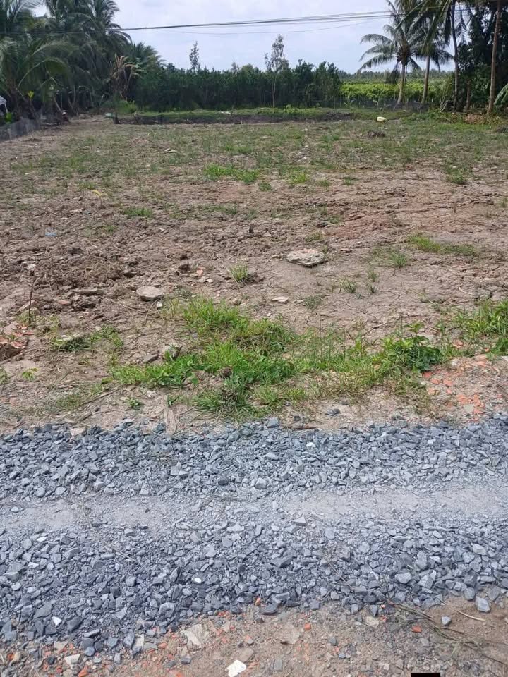 Đất thổ cư Trà Côn, Trà Ôn 200m² giá 210 triệu - Sổ đỏ chính chủ!