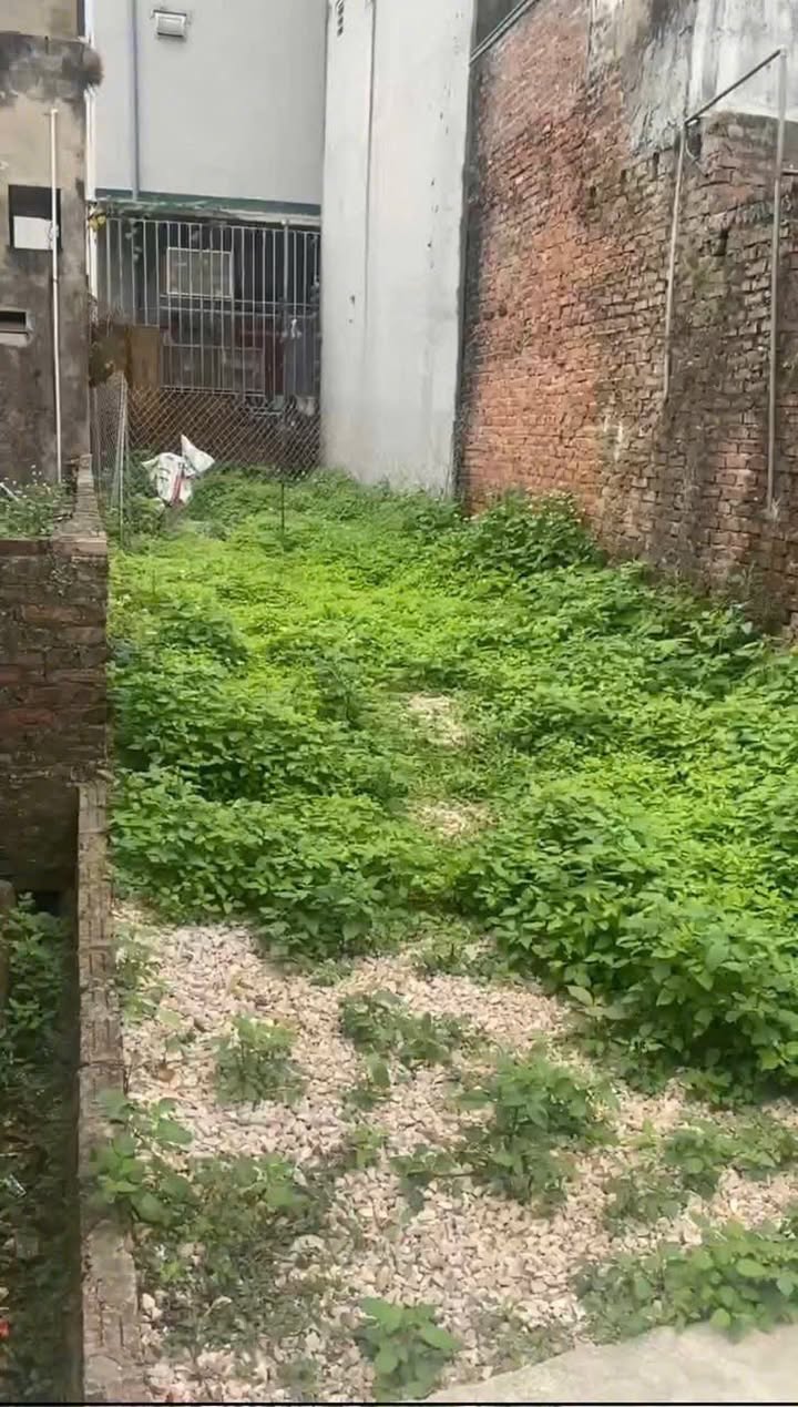 Đất nền Thượng Vực, Chương Mỹ 59.5m² giá 1 tỷ - Cơ hội đầu tư sinh lời tuyệt vời!