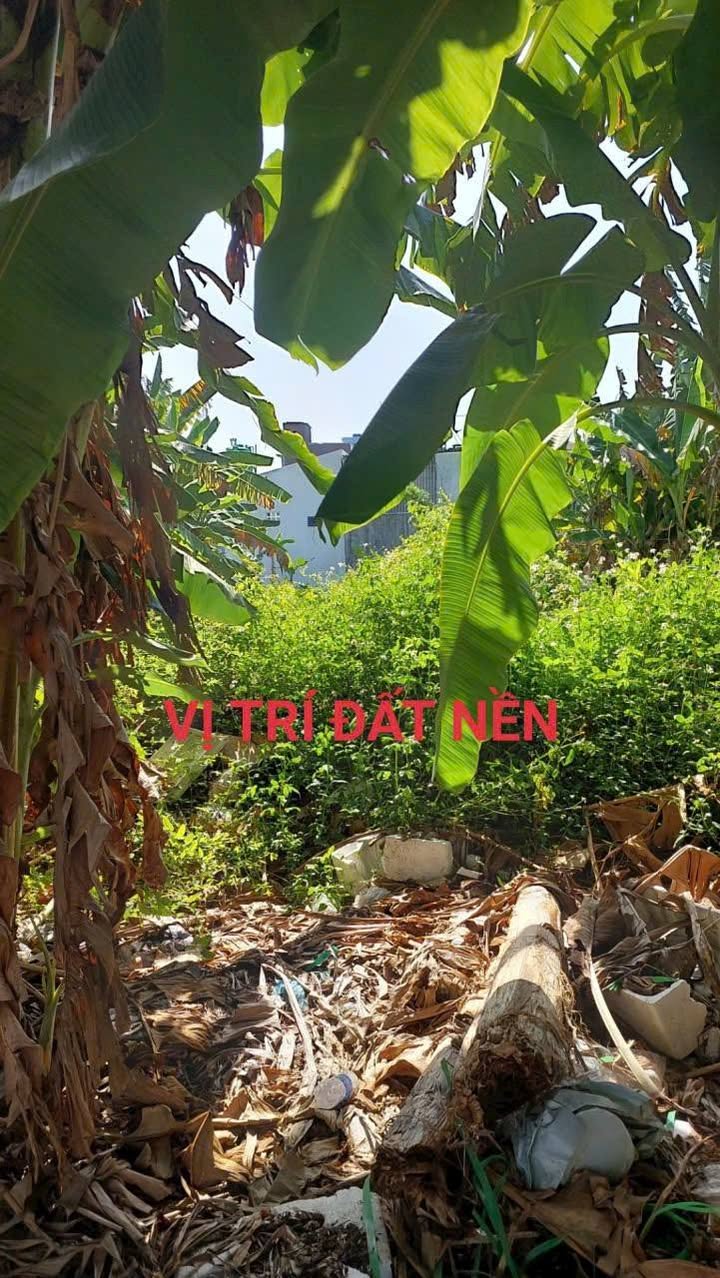 Đất nền đẹp tại Rạch Giá, Kiên Giang 150m² - Đầu tư sinh lời ngay!