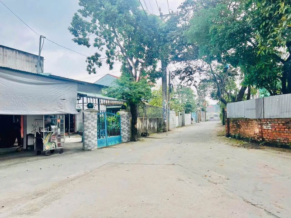 Đất nền Bửu Hòa 101m² giá chỉ 1.6 tỷ - Sổ hồng riêng, vị trí giao thông thuận lợi!