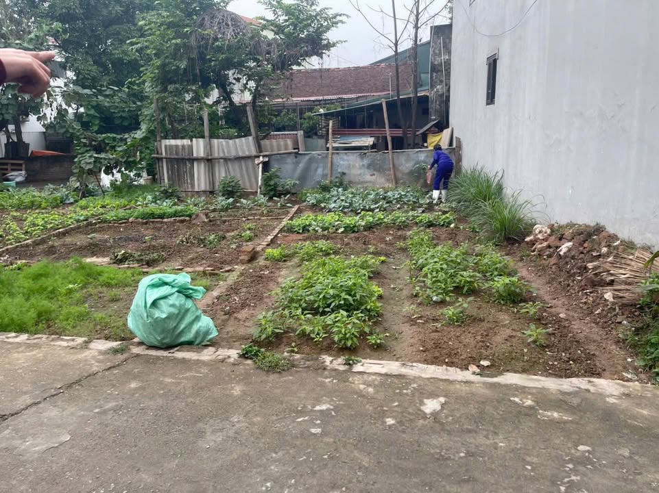 Đất nền 65,7m² tại Hành Lạc, Văn Lâm - Vị trí trung tâm, giá thỏa thuận!