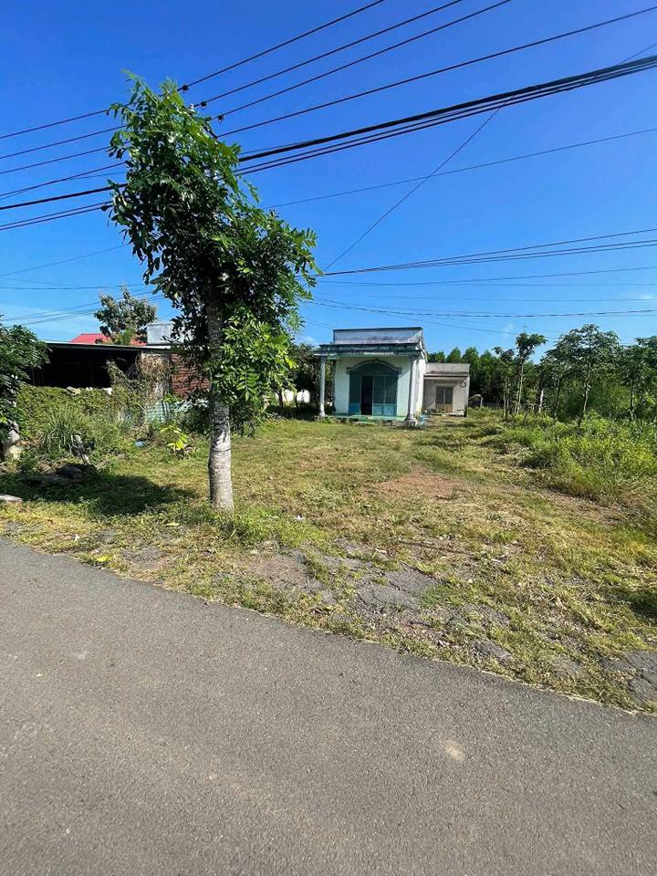 Đất nền Xuân Sơn, Châu Đức 1400m² giá 1.75 tỷ - Sổ đỏ chính chủ, cách đường chính 20m!