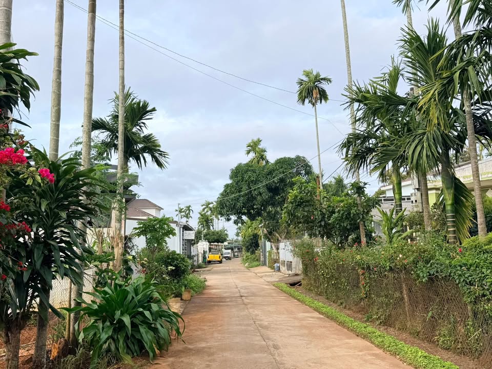 Đất 2 mặt tiền P. Tân Lập, TP. Buôn Ma Thuột 340m² giá 4.29 tỷ - Cơ hội đầu tư tuyệt vời!