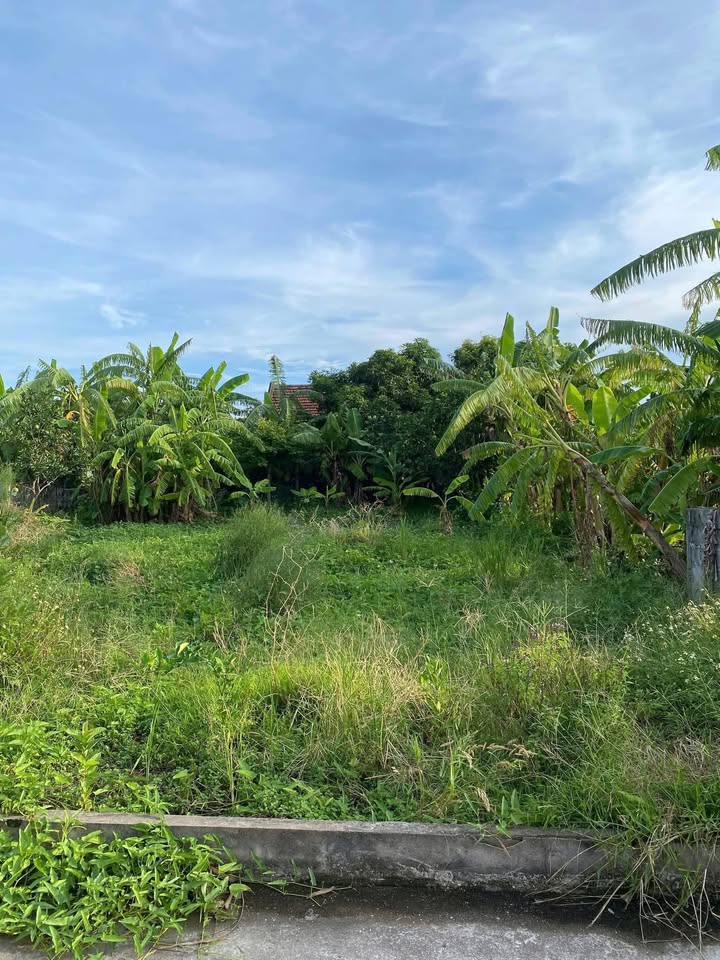 Đất thổ cư 100m² tại Nghĩa Lâm, Nghĩa Hưng chỉ dưới 500 triệu - Xây biệt thự ngay!