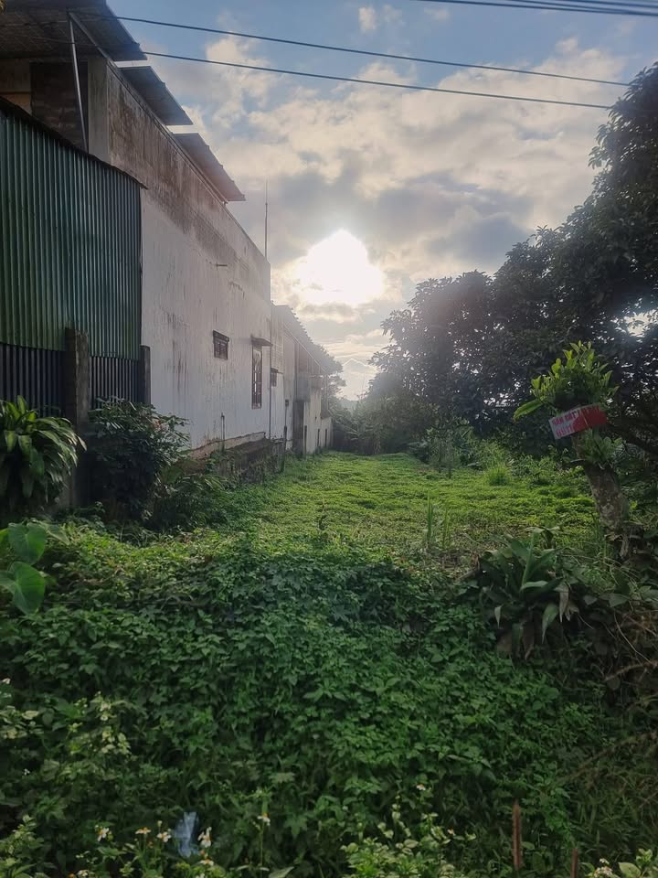 Mặt tiền FrontHouse Cuôr Đăng 228m² giá 2.78 tỷ - Đầu tư sinh lời ngay!