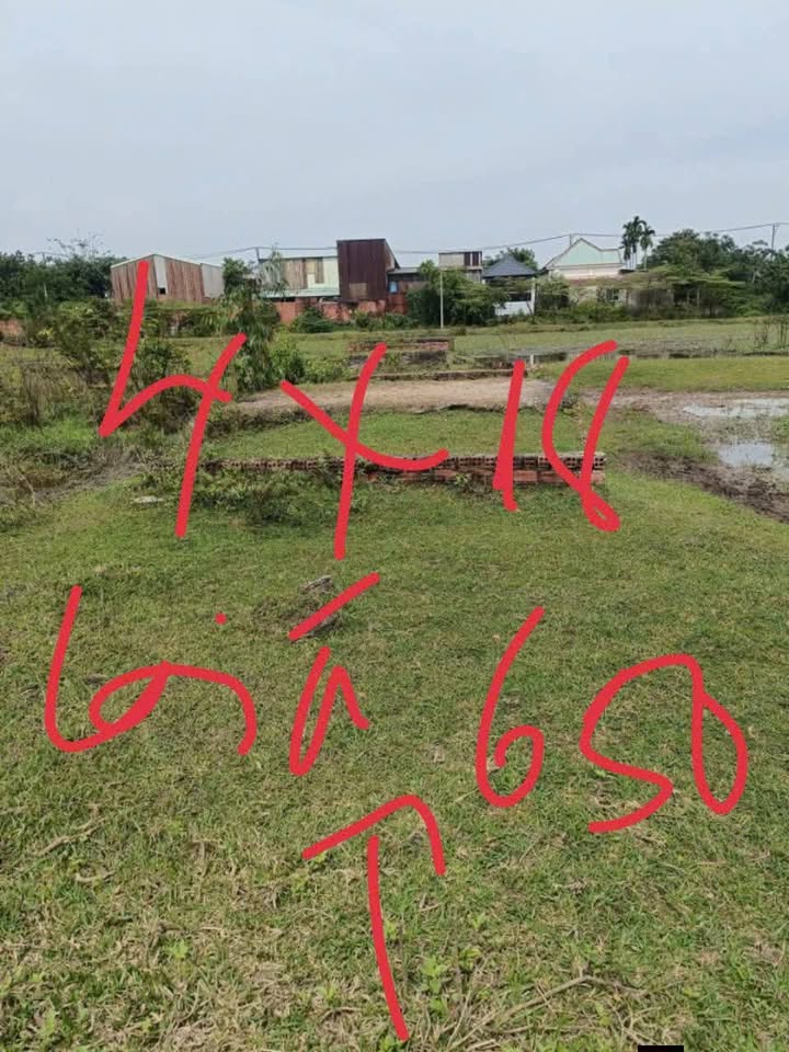 Đất nền đường Lê Thị Ngây, Bình Chánh 72m² - Giá chỉ 350 triệu, sổ đỏ chính chủ!