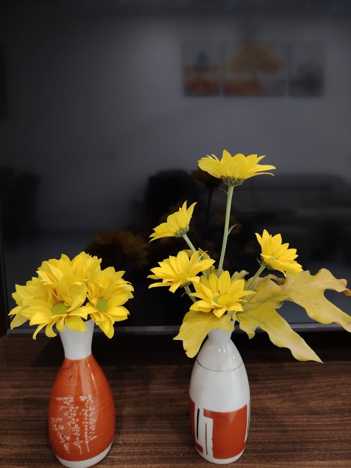 Nhà thô 3,5 tầng tại phường Đông, Thanh Hóa - Giá chỉ 3.9 tỷ, Sổ đỏ chính chủ!