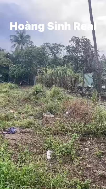 Đất ở 5.170m² giá 149 tỷ - Đầu tư sinh lời tại Đông Tăng Long, Thủ Đức!