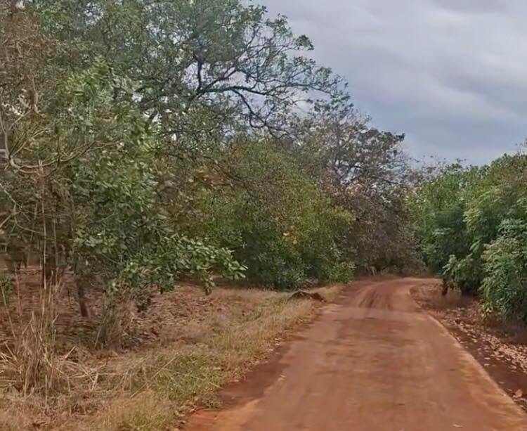 Đất Farm 2.07ha Tân Hưng, Đồng Phú giá 4 tỷ - Mặt tiền 120m ô tô vào tận nơi!