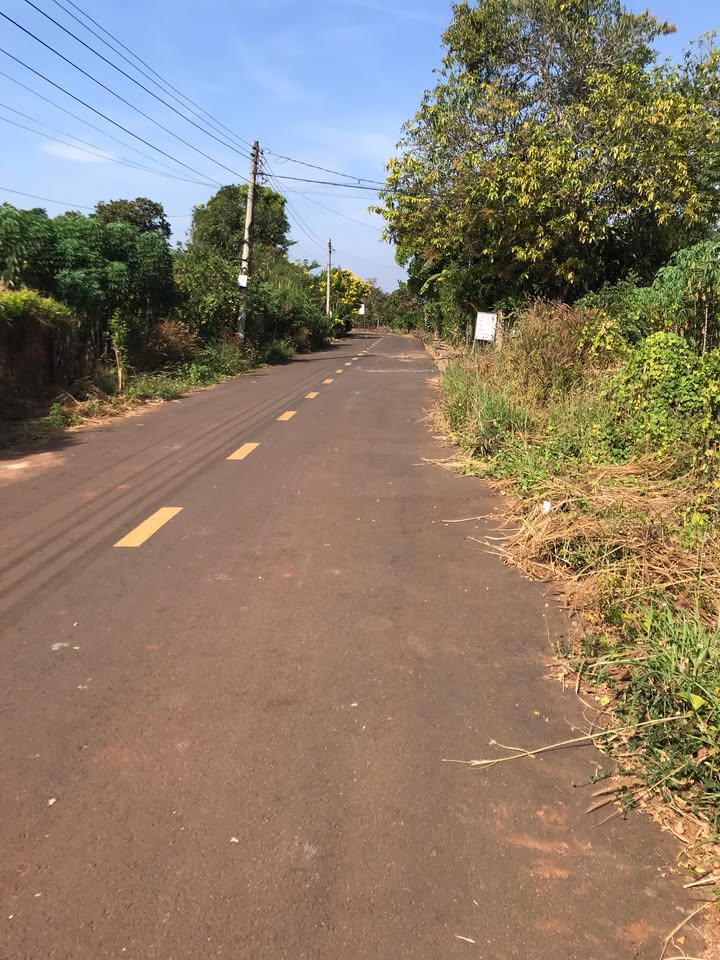 Đất thổ cư Hòa Hưng Xuyên Mộc 437.5m² giá 4.9 tỷ - Sổ hồng chính chủ, vị trí đắc địa!