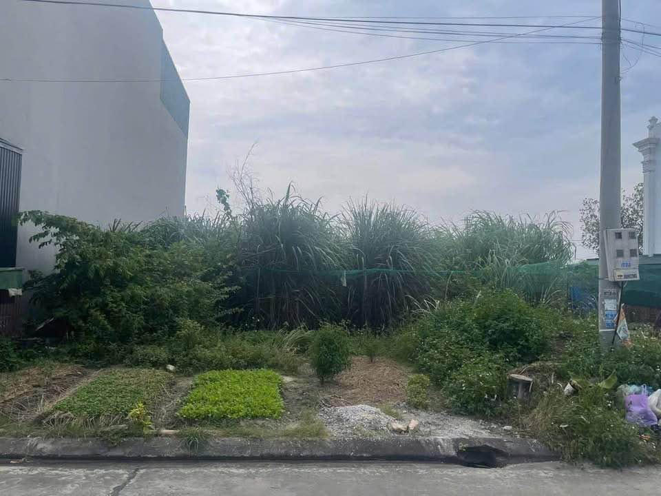 Đất nền 100m² Hoàng Quế, Đông Triều - Pháp lý rõ ràng, cơ hội đầu tư hấp dẫn!