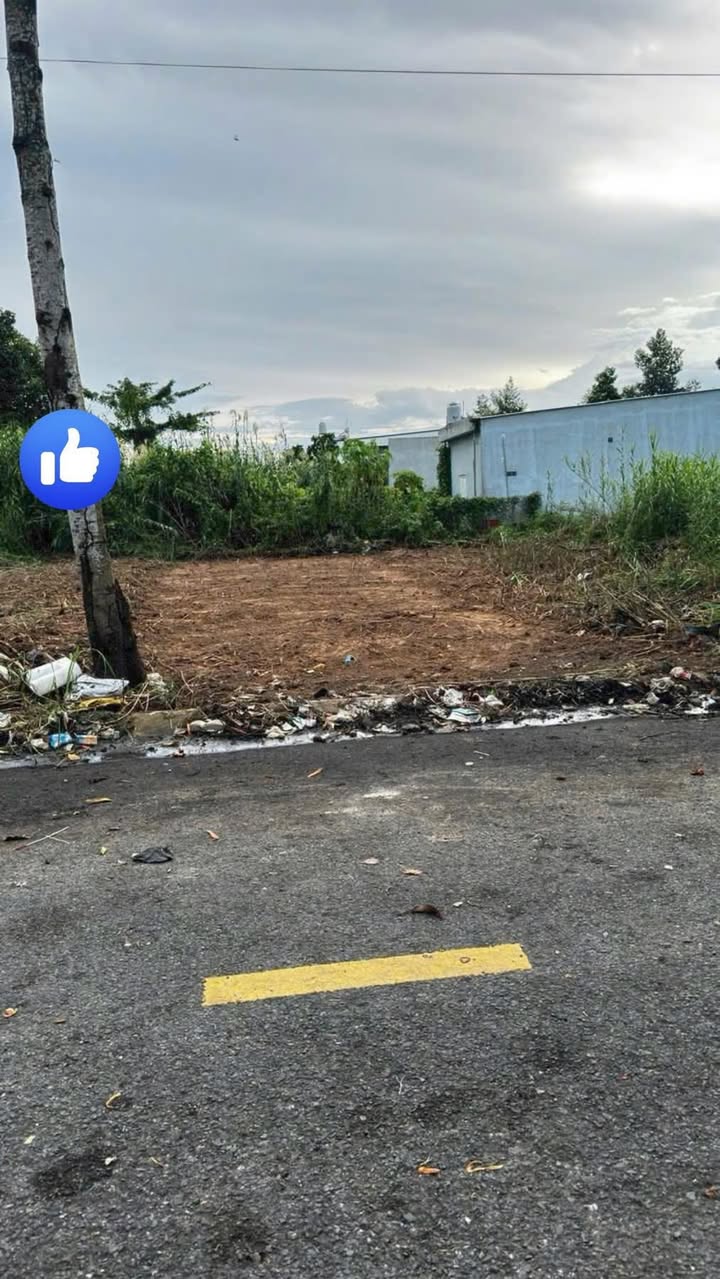 Đất nền mặt tiền đường Nguyễn Thái Bình, xã Bình Thạnh Trung, 100m² - Cơ hội đầu tư tuyệt vời!