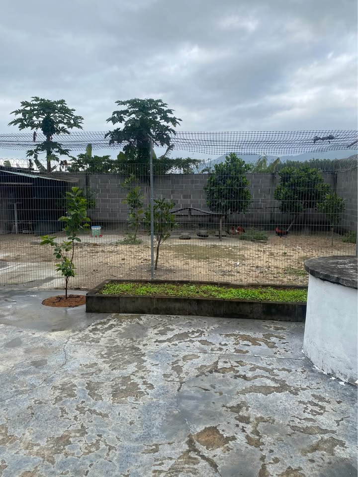 Nhà vườn Suối Tiên 649m² giá 3.5 tỷ - Diện tích rộng, gần đường lớn