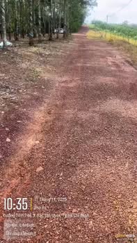 Lô đất 1.6 mẫu Tân Định, Bắc Tân Uyên giá chỉ 1.6 tỷ - Đầu tư sinh lời ngay!