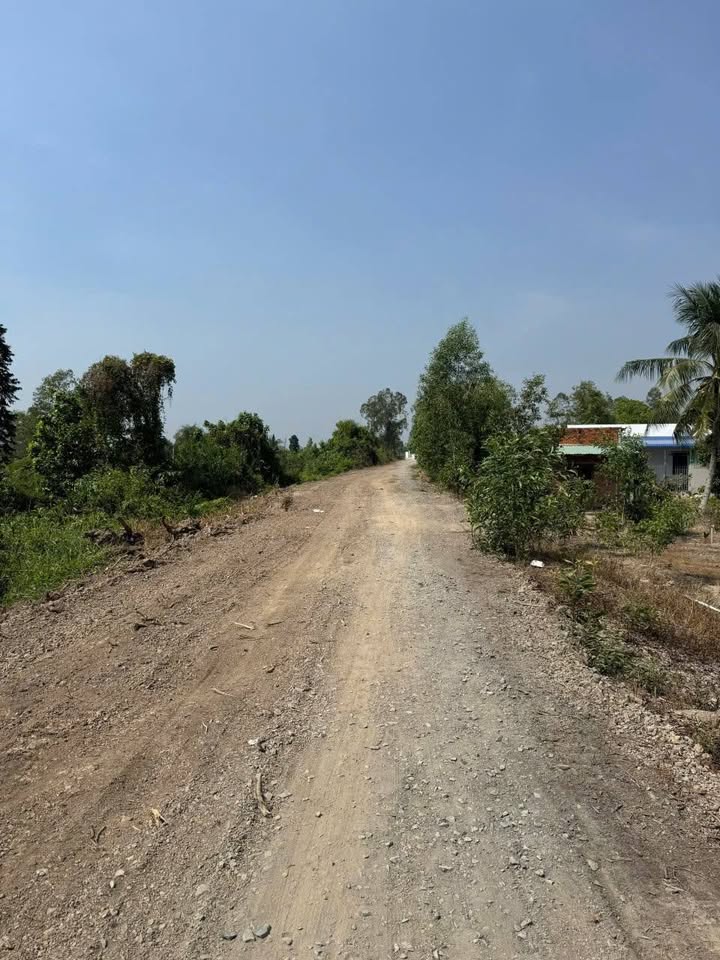 Đất vườn 500m² tại Thanh Hóa, Bến Lức chỉ 240 triệu - Lối đi rộng 13m