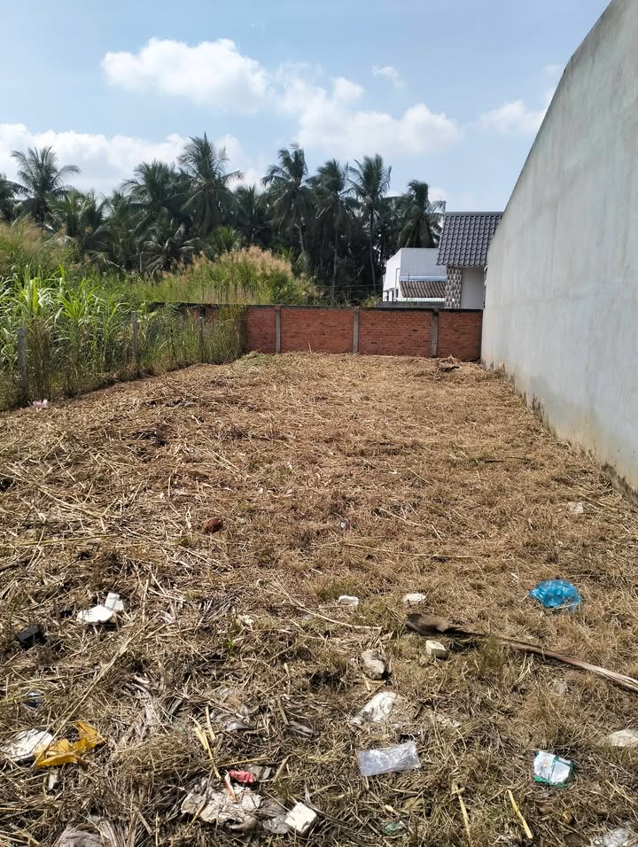 Đất thổ cư 216m² Nguyễn Văn Hiếu, Cai Lậy chỉ 1.5 tỷ - Cơ hội đầu tư hiếm có!