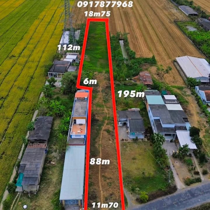 Đất thổ cư 2984m² đường tỉnh 877, Bình Tân, Gò Công Tây - Giá 3.5 tỷ thương lượng!